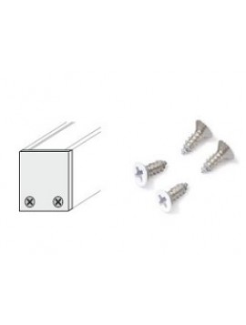  LINEA20 screws silver